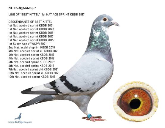 NL 26-8360624