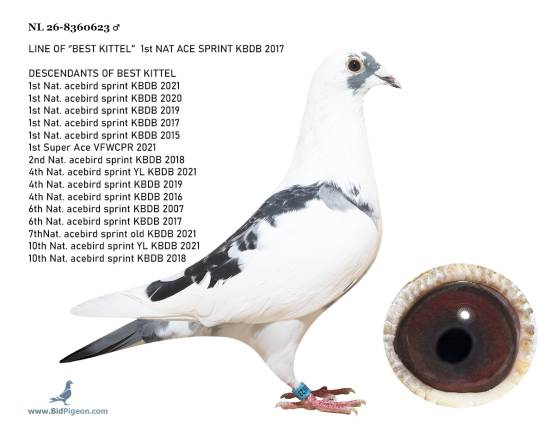 NL 26-8360623