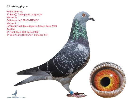 BE 26-6073854