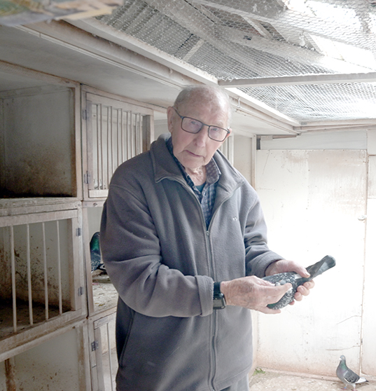 Jan Ernest  Steenbergen 