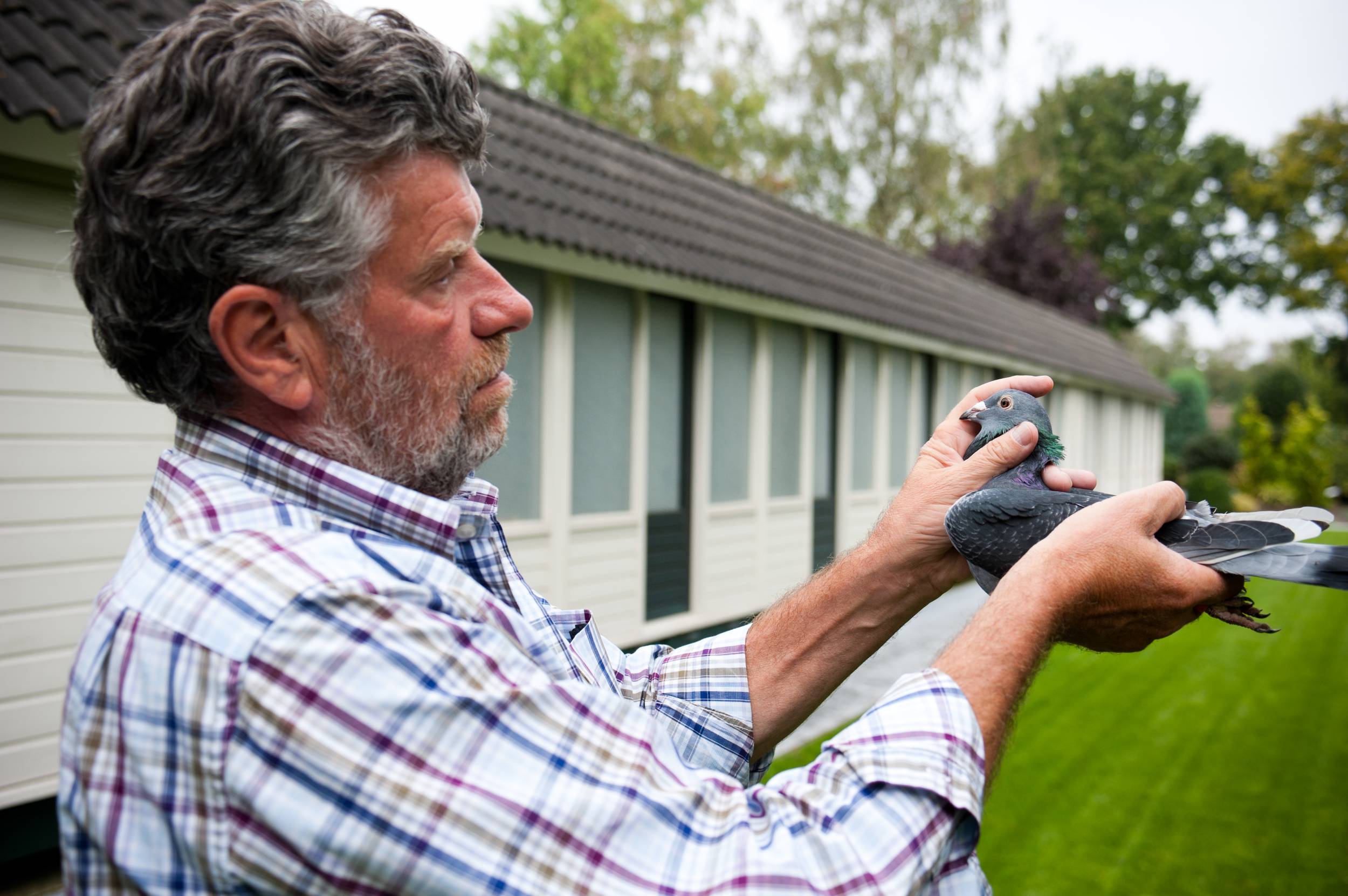 Machiel Buijk from Hoogerheide