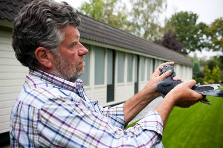 Machiel Buijk from Hoogerheide