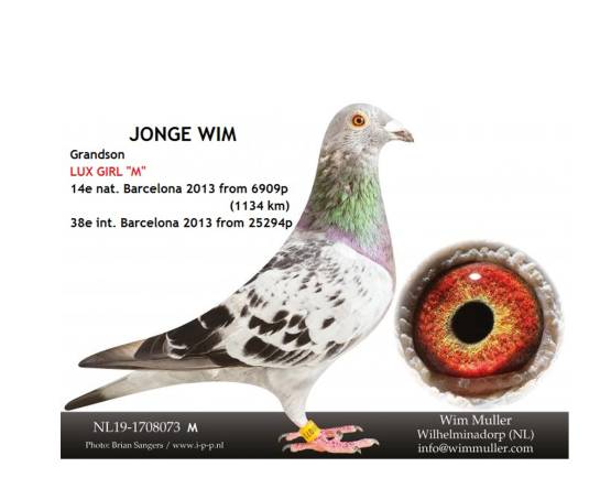 NL 19-1708073 M